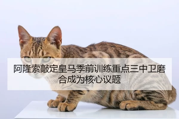 阿隆索敲定皇马季前训练重点三中卫磨合成为核心议题