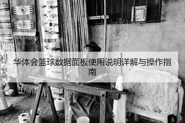 华体会篮球数据面板使用说明详解与操作指南