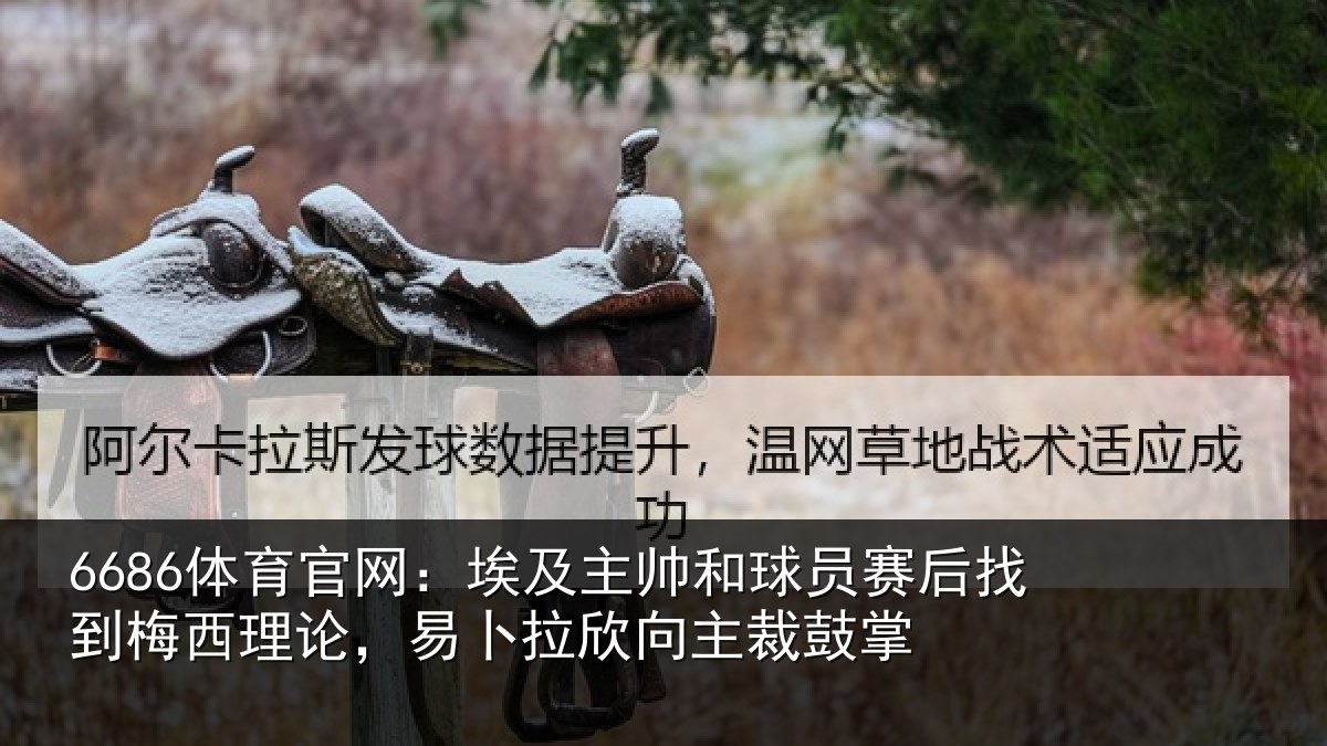 6686体育官网：埃及相关情况到梅西理论，易卜拉欣向主裁鼓掌