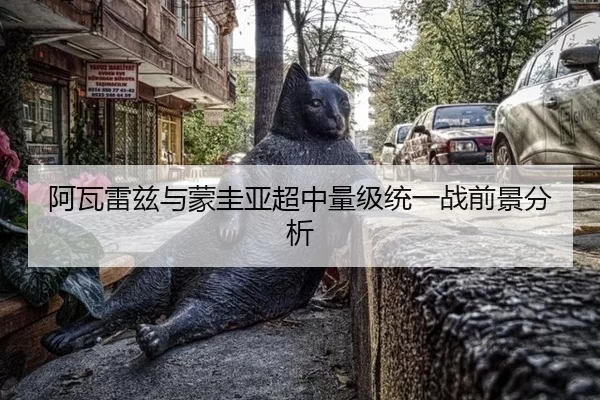 阿瓦雷兹与蒙圭亚超中量级统一战前景分析